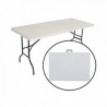 MESA JARDIN RECTANGULAR PLEGABLE